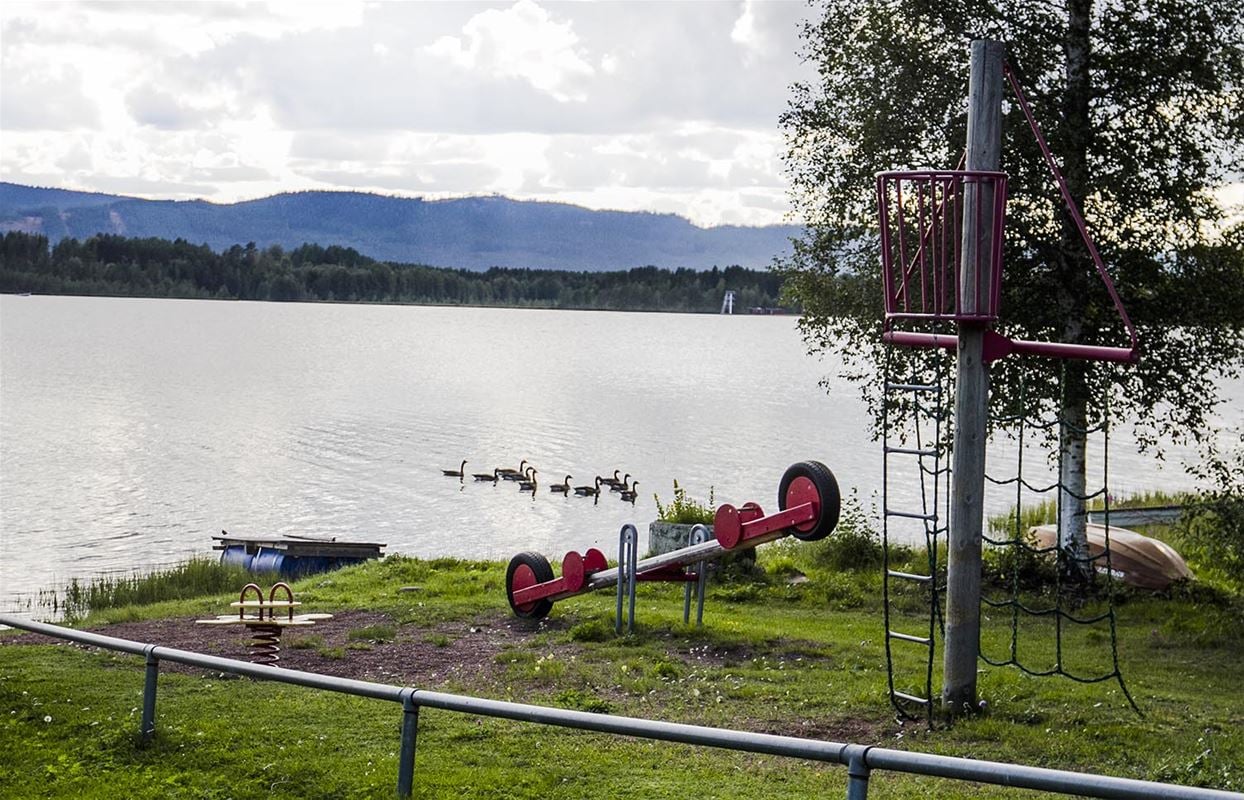 A playground by a lake with birds in the water