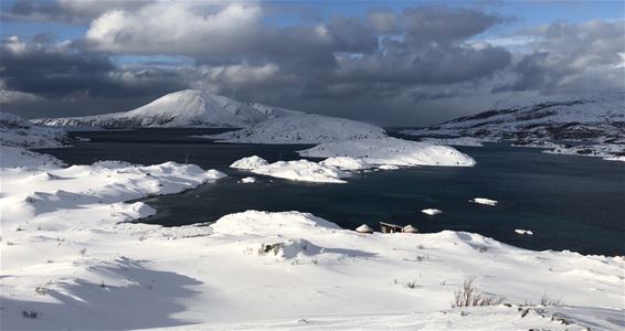 Vinterlandskap på kysten