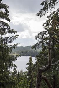 Utsikt från en höjd mot en sjö