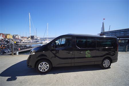 the black green gold of norway minivan