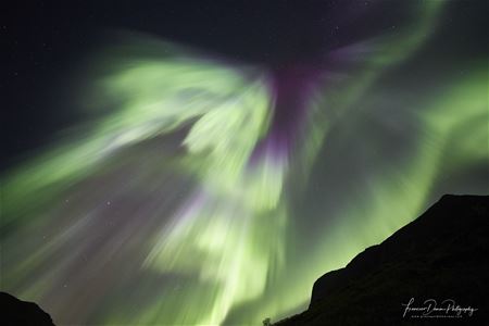 Northern lights