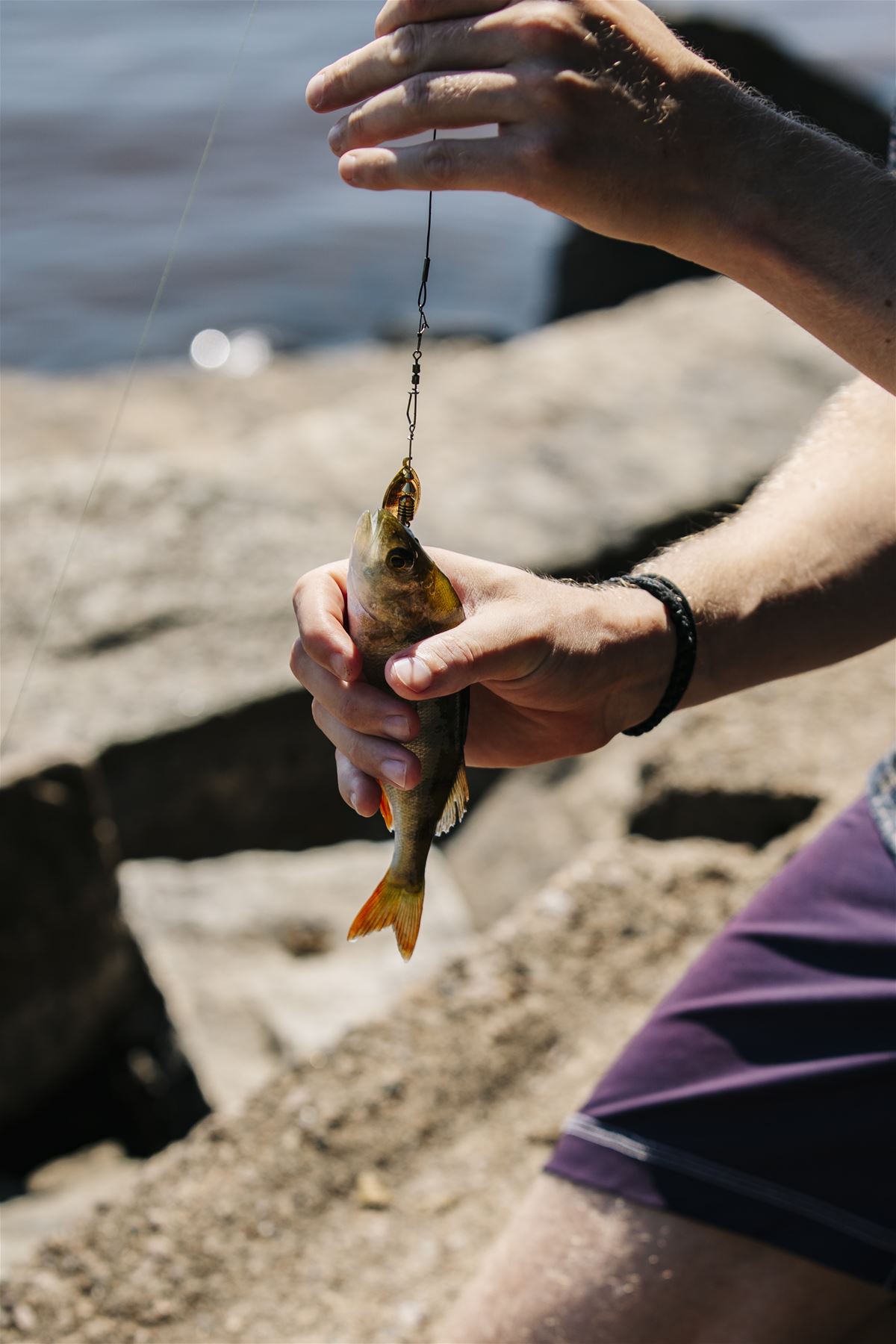 Fiske i Dansjön och Furen image 1