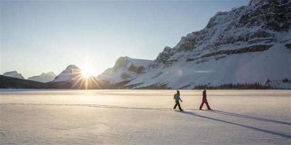 Two persons snowshoeing in a sunny and snowy landscape