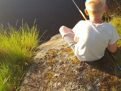 Fiske i Åbodasjön