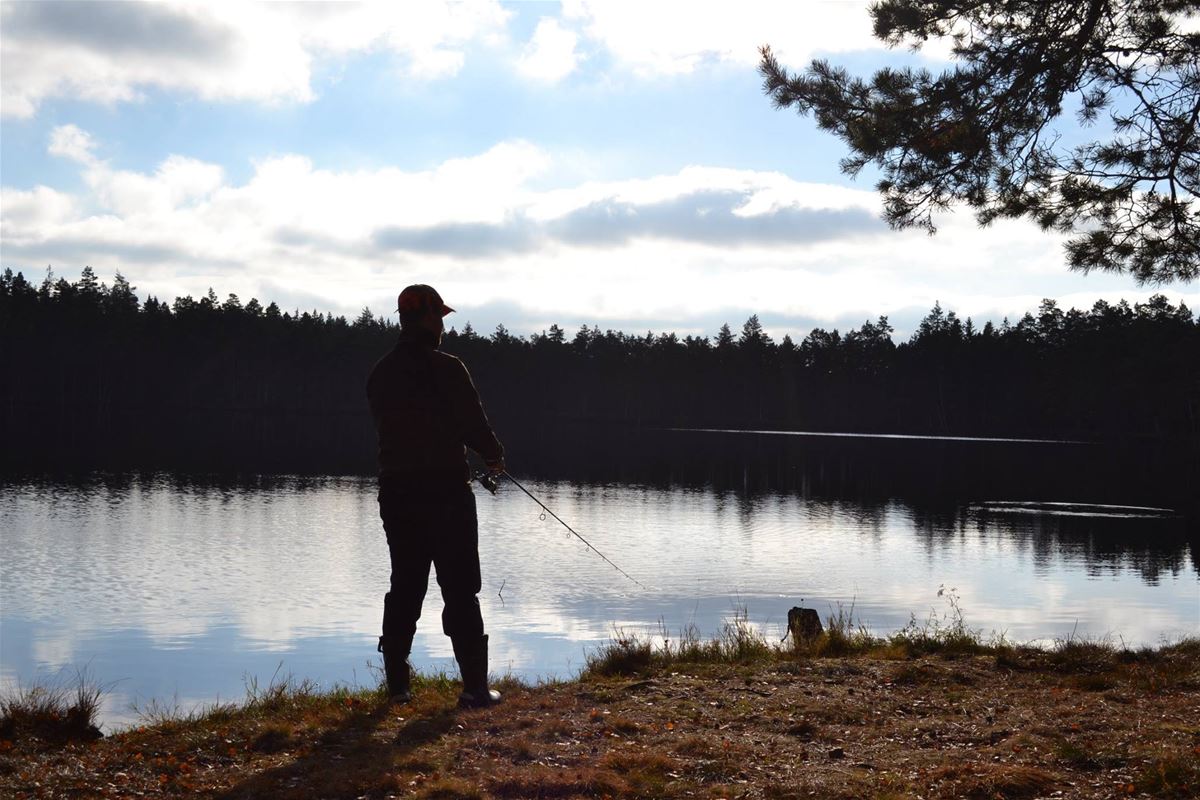 Fishing in Älganässjön image 1