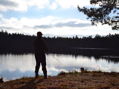 Fiske i Älganässjön