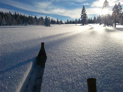 Winter landscape in the sun.