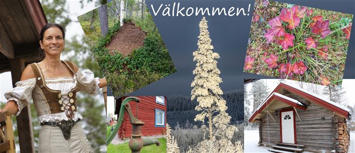 Collage of pictures on cabins and the hostess. 