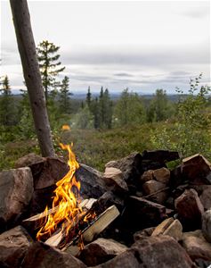 A small fire place in the forest