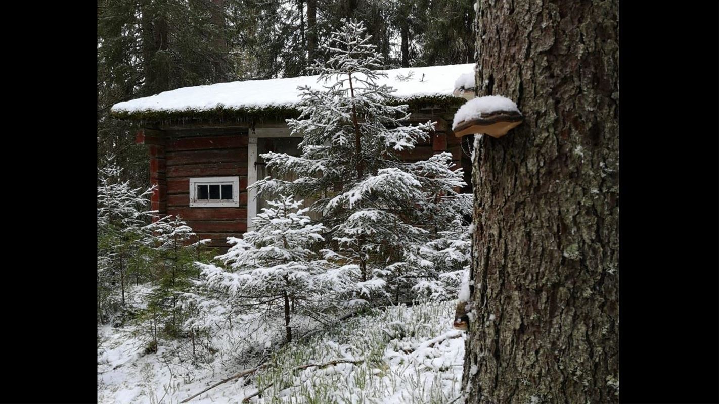 Prästskogsstugan i snöig skog