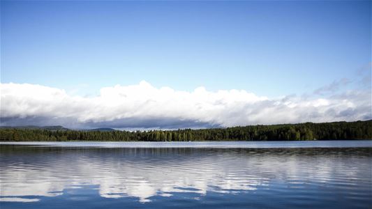 Lake Nässjön with trees in the background