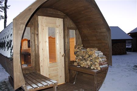 Sauna from outside with wood on the bench beside the door. 