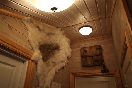 Animal trap on the wall.