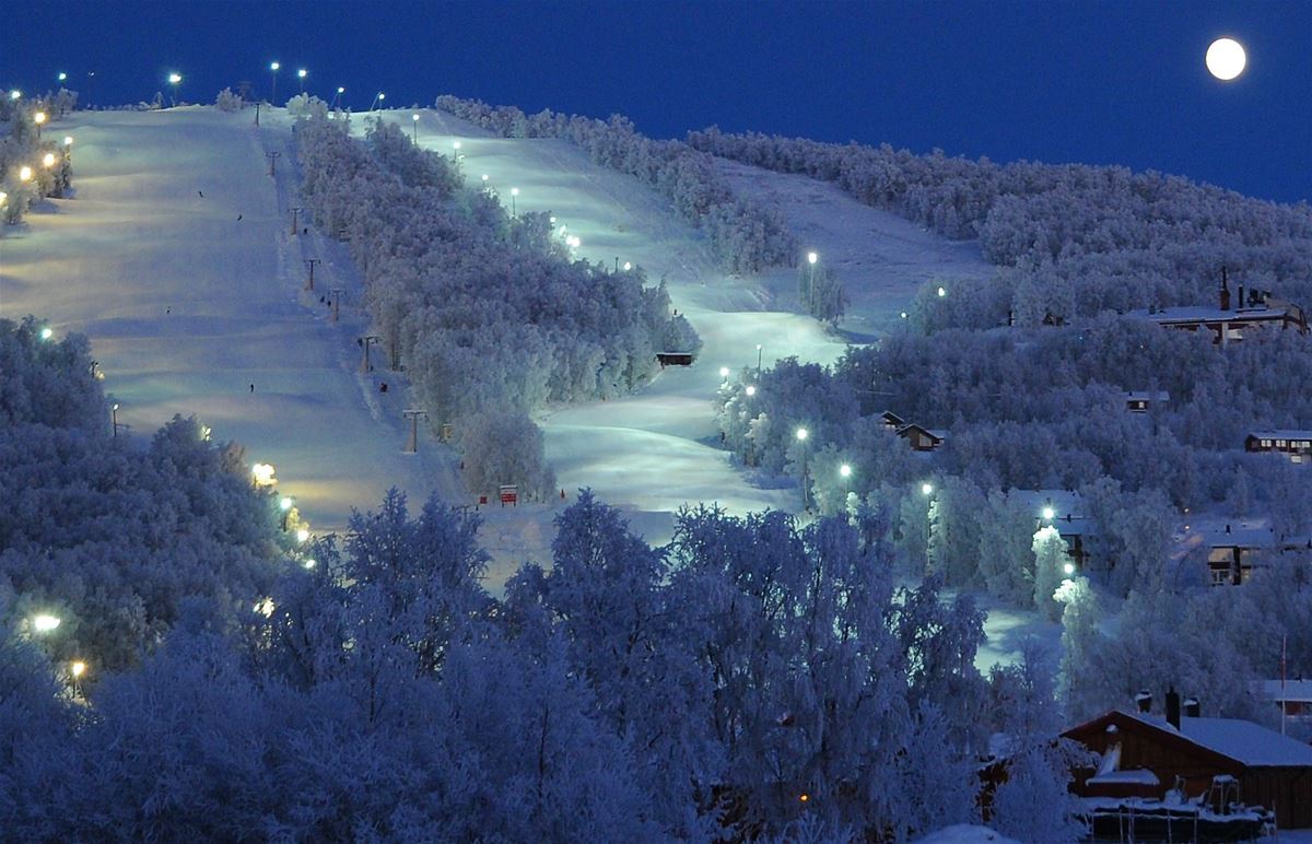 Fira jul i fjällen(söndag-torsdag) image 1