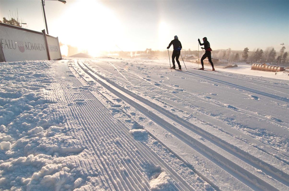Cross-country skiers in sunny weather.
