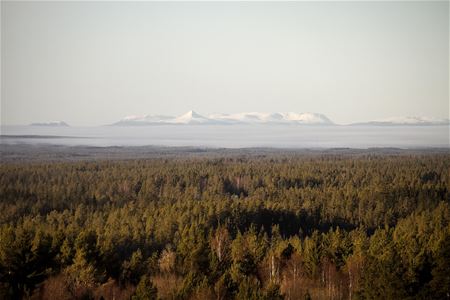 Utsikt från Bunkris brandtorn, träd och vita berg. 