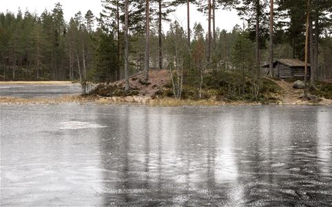 A pond with frozen ice