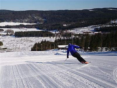 Skier in a slope, picture taken from the top.