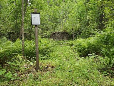 Walkingsign in the forest.