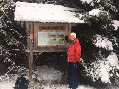 En anslagstavla som står framför flera stora granar och en person står bredvid anslagstavlan. 
