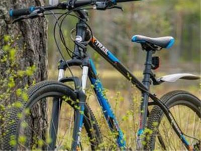  a bicycle parked next to a tree. 