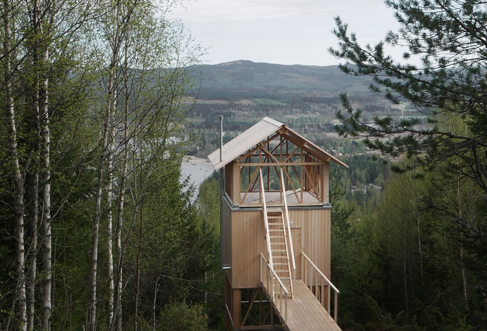 Bergaliv