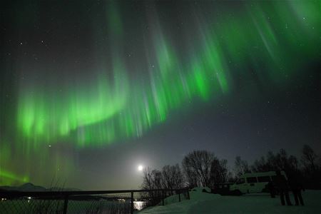 Nordlys over snødekt landskap