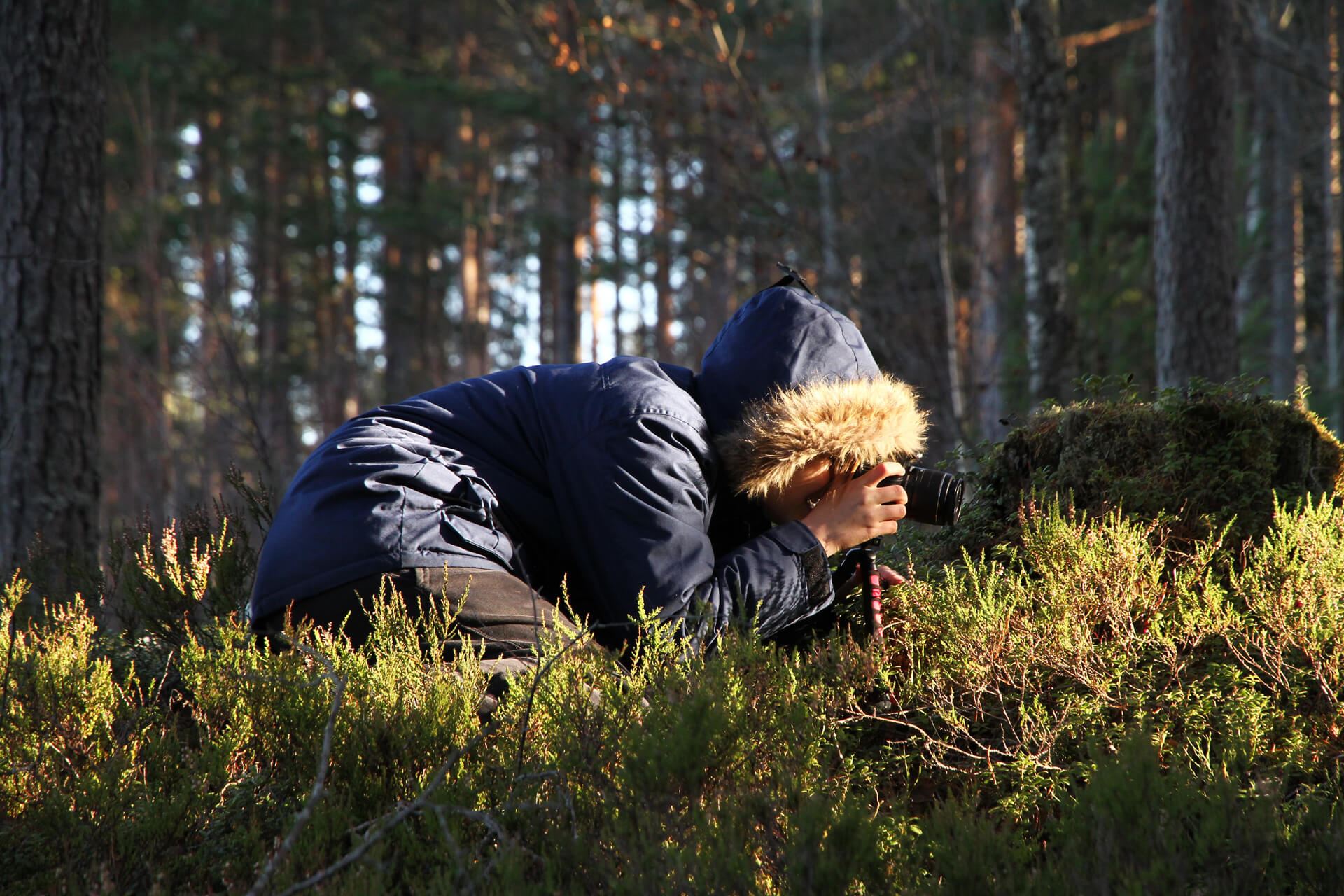 Fotokurs djur och natur