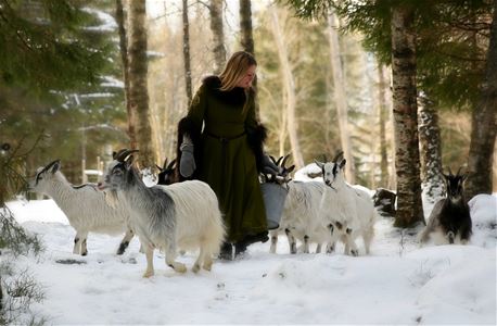 A girl walking in the woods with her goats.