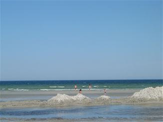 cbis:342645-5