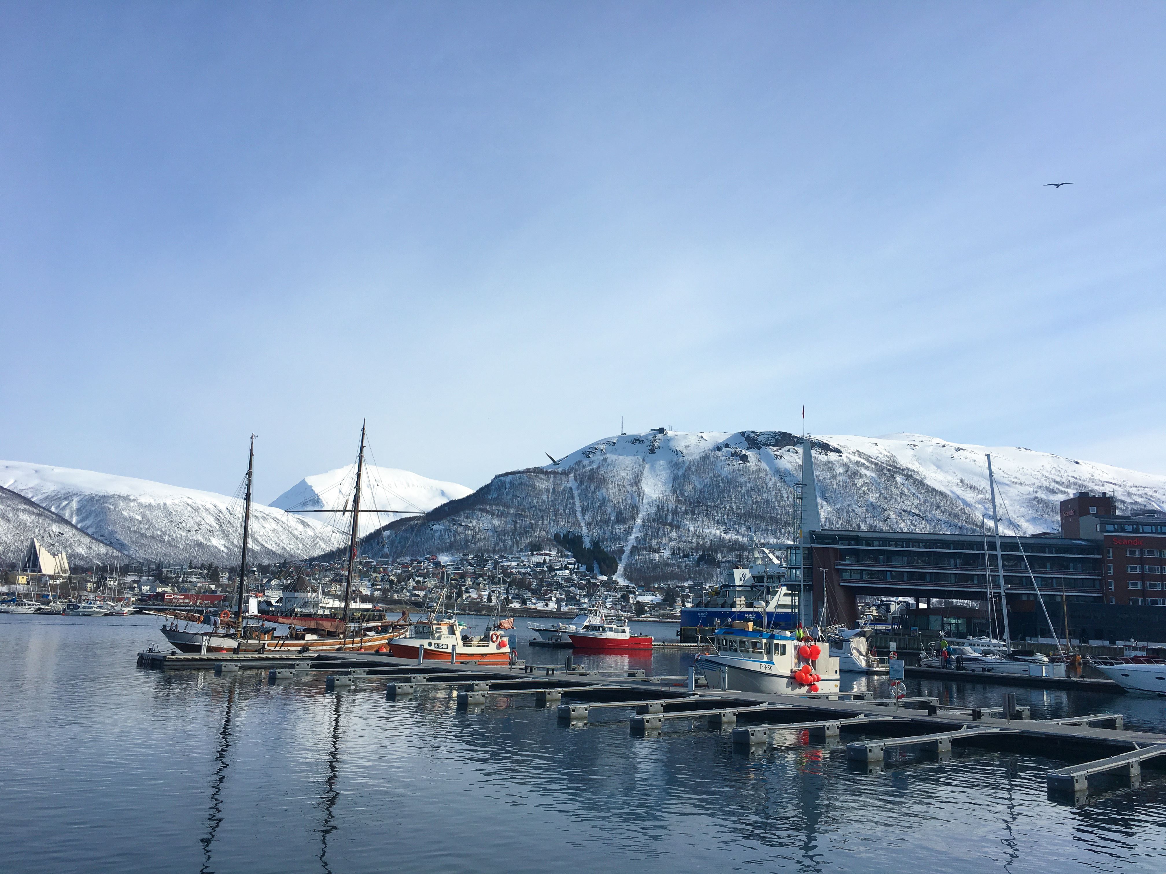 Tromsø City Walk - Small Group Tour, Sightseeing