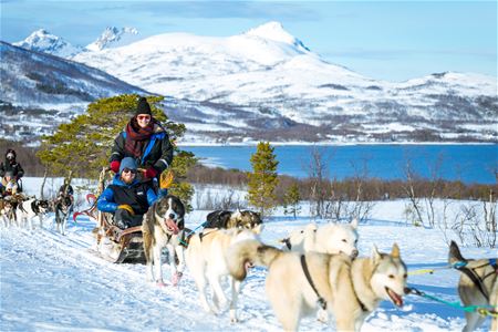 Hundekjøring med fjell og hav i bakgrunnen