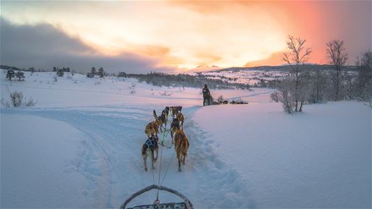 Utsikt fra hundeslede, sollys og skyer i bakgrunnen