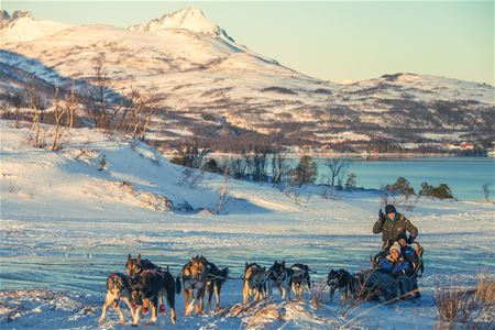 Hundespann med fjell og hav i bakgrunnen