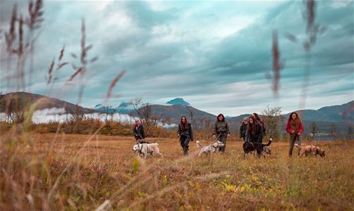 En liten gruppe går tur med huskiene ute i naturen