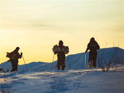Three persons on snowshoes admiring the yellow coloured sky