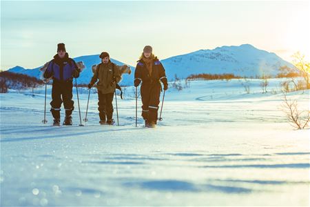 Three persons snowshoeing in the sun light