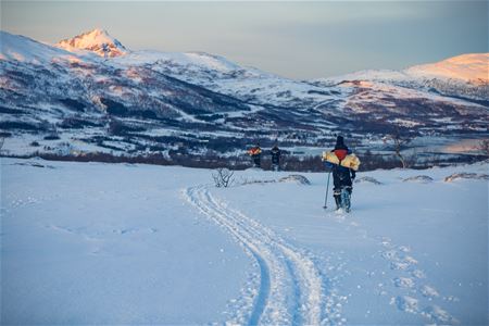 Person snowshoeing next to a ski track in snowy winter landscape