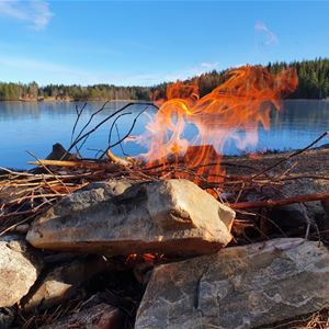 Naturbild, eld i förgrunden och sjö i bakgrunden.