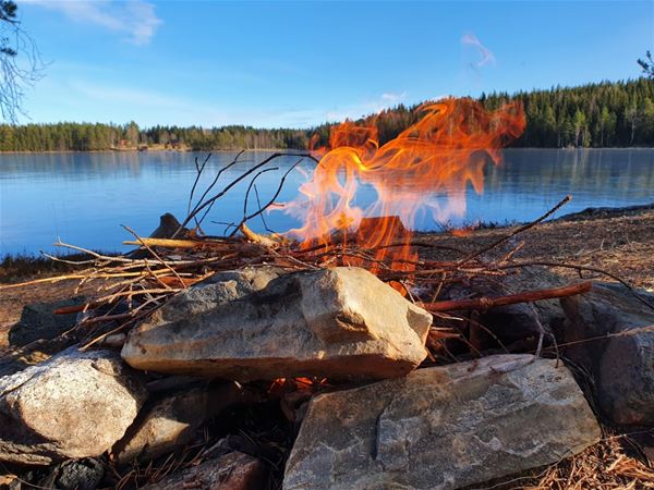 A bonfire down by the lake 