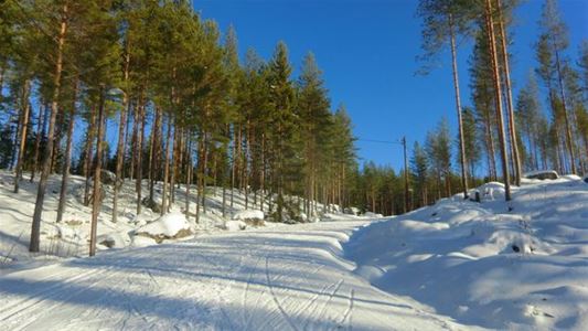 Skidspår.