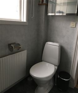 Toalettstol med ett skåp ovanför. 