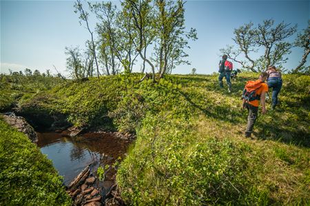 Ute på tur i Nord-Norsk natur