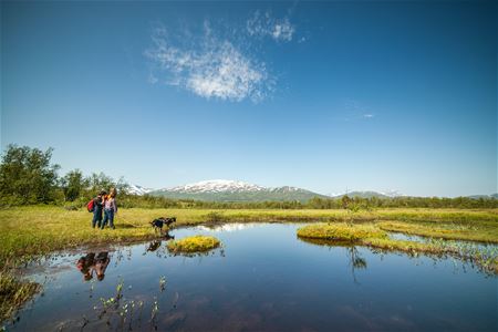 Nord-Norsk natur og ferskvann