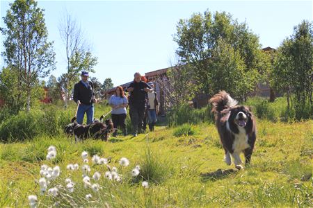 Personer ut på tur, hund løpende foran