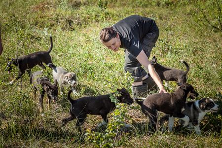 Person playing with the puppies