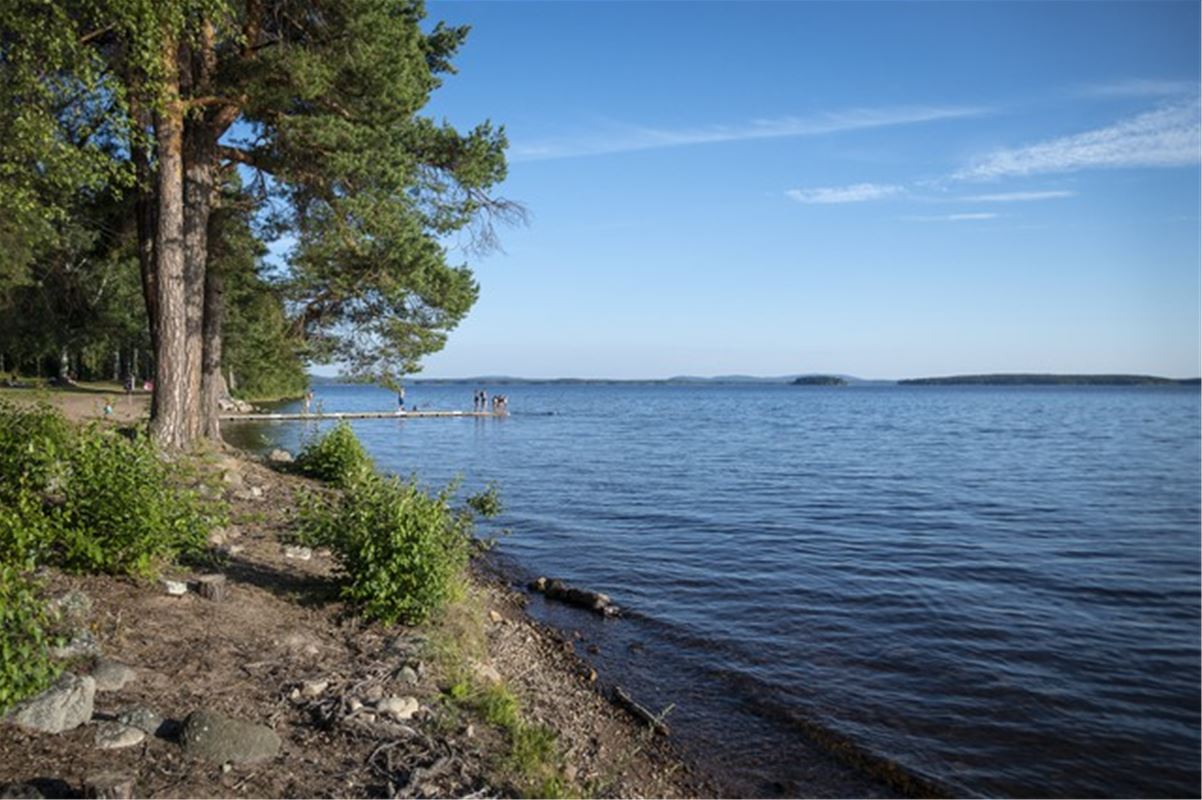 Runn Runt Startplats Falun Visit Dalarna