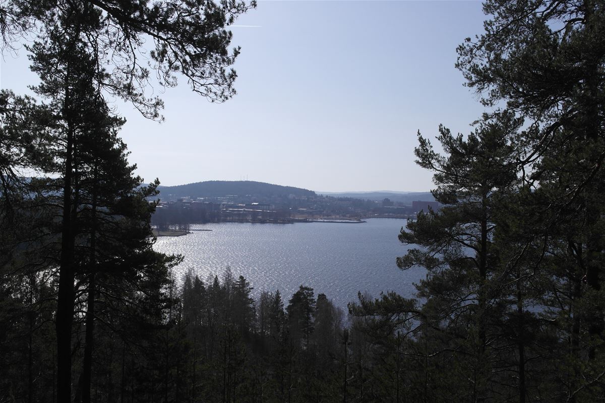 From the lookout point with a view over the lake. 