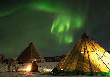 Northern Lights over a snowy landscape with two illuminated tents, a campfire, and a reindeer.