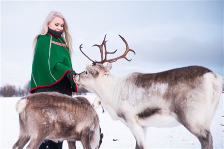 Person in traditional green cloak with reindeer in snowy landscape.